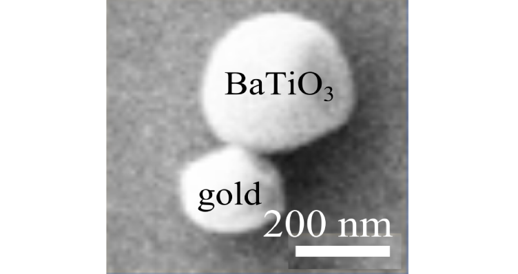 Enlarged view: nanoparticle
